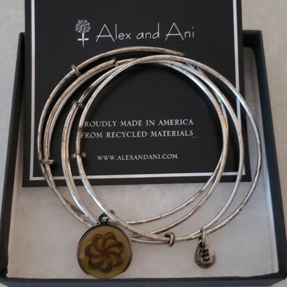Alex and Ani 4-bangle charm bracelet